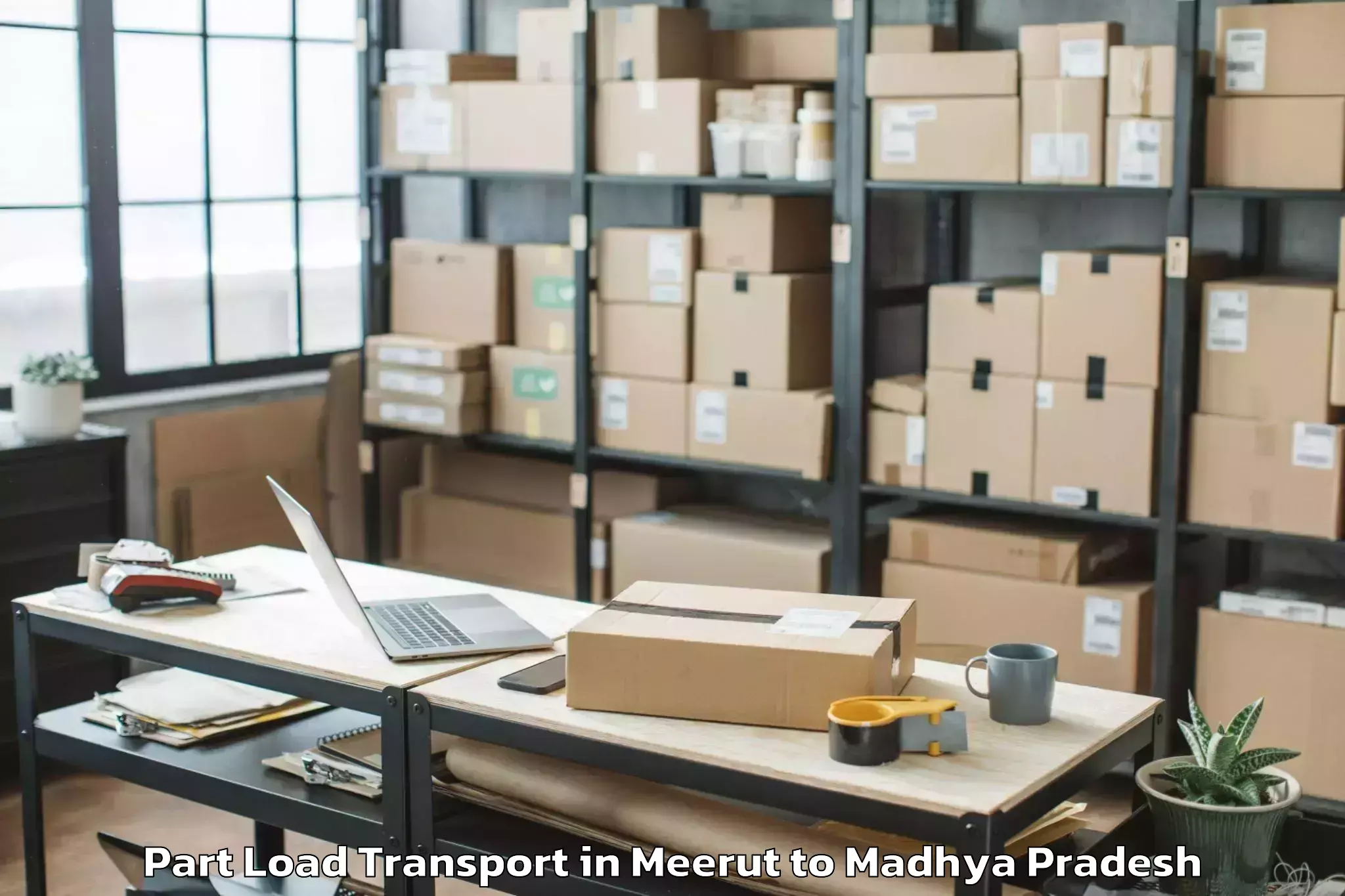 Affordable Meerut to Jagran Lakecity University Bho Part Load Transport